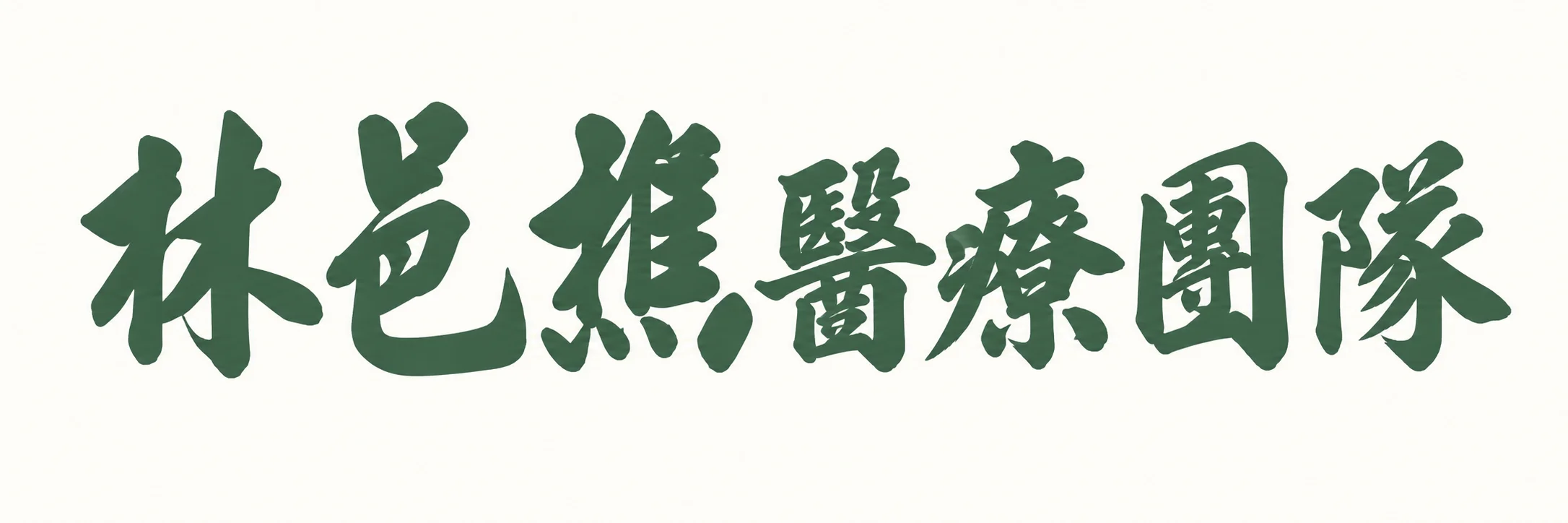 林邑樵醫療團隊
